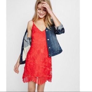 Express Red Lace Trapeze Dress